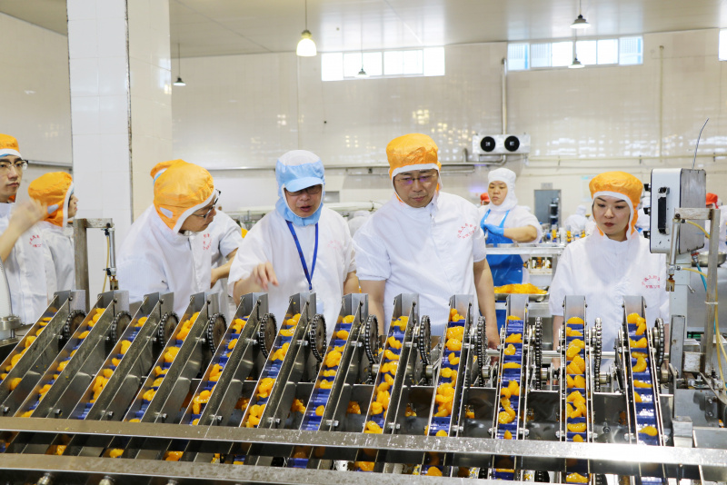 1721011047593182c0nR.jpg 1.jpg